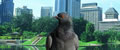 ccb_img1