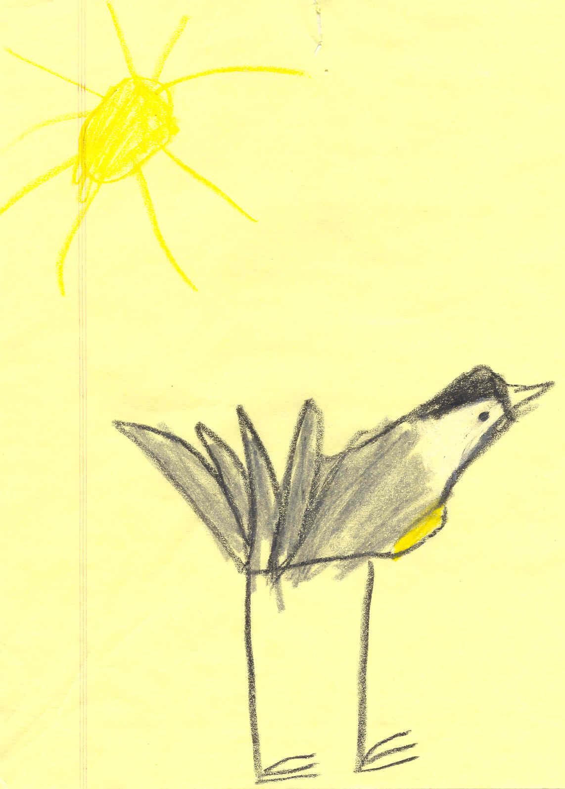 Black-capped chickadee - Mackenzie Sturdy, circa age 4
