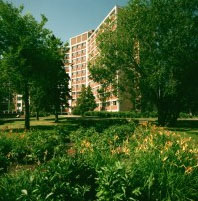 University of Alberta