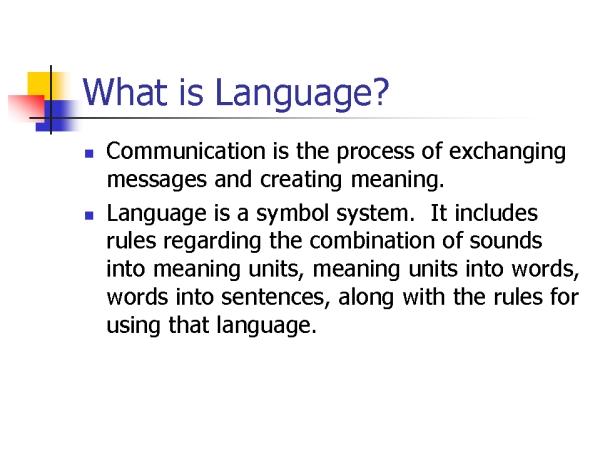 What is Language